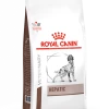Royal Canin Hepatic Pour Chien 12kg
