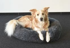 Flamingo Panier Krems Rond Gris 70cm -magasin d'aliments pour chiens 2b35af8c6265e8517b23a60a9a122e1b2f4b50f5a9c25a7daa9e2d5118cff5a5