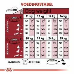 Royal Canin Medium Adult 7+ Pour Chien 10kg -magasin d'aliments pour chiens 37904a4470b67a90d889f8735c639bc0ce8648b286c52ffef500d7af8a577883