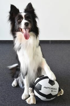 Flamingo Jouet Chien Matchball Balle De Foot 12,5cm -magasin d'aliments pour chiens 40ceb270f0ae1d84ac34a9c72537280e20e86552eaf2ba2e45995c5537755e53