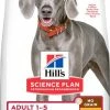 Hill's Science Plan No Grain Adult Large Breed Croquettes Sans Céréales Pour Chien Adulte De Grande Race Au Poulet - 14kg