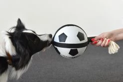 Flamingo Jouet Chien Matchball Balle De Foot 12,5cm -magasin d'aliments pour chiens 426a3b0218cf394ef522fae6b5f519bbb9a230d83d2d89068b2c2dfa66fcc061