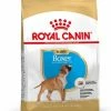 Royal Canin Boxer Chiot Pour Chien 3kg