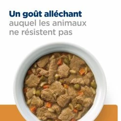 Hill's Prescription Diet K/D + Mobility Au Poulet Et Légumes Mijoté Pour Chine 12x354g -magasin d'aliments pour chiens 52742021423 4 FR