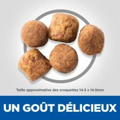 Hill's Science Plan Adult Healthy Mobility Croquettes Pour Grand Chien Au Poulet 14 Kg -magasin d'aliments pour chiens 52742026015 4 science plan healthy mobility chien adulte large croquettes poulet