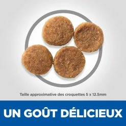 Hill's Hill’s Science Plan Adult Sensitive Stomach & Skin Poulet 14kg 14 Hill's Hill’s Science Plan Adult Sensitive Stomach & Skin Poulet 14kg -magasin d'aliments pour chiens 52742026091 5 science plan sensitive stomach skin chien adulte medium croquettes poulet