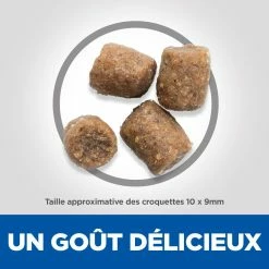 Hill's Hill’s Science Plan Adult Performance Poulet 14kg -magasin d'aliments pour chiens 52742026114 4 science plan performance chien adulte croquettes poulet