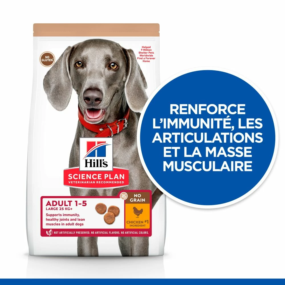 Hill's Science Plan No Grain Adult Large Breed Croquettes Sans Céréales Pour Chien Adulte De Grande Race Au Poulet - 14kg 2 Hill's Science Plan No Grain Adult Large Breed Croquettes Sans Céréales Pour Chien Adulte De Grande Race Au Poulet - 14kg – Image 2