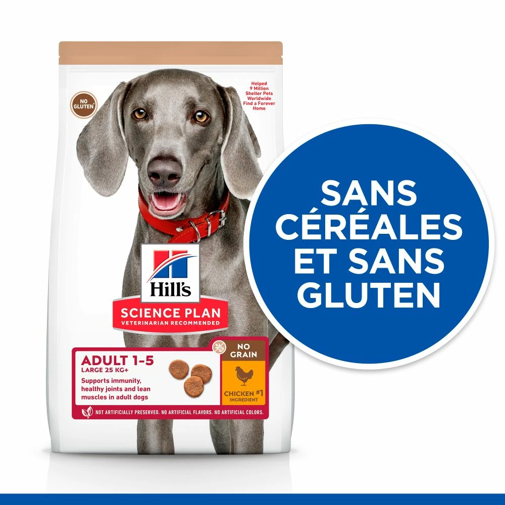 Hill's Science Plan No Grain Adult Large Breed Croquettes Sans Céréales Pour Chien Adulte De Grande Race Au Poulet - 14kg 3 Hill's Science Plan No Grain Adult Large Breed Croquettes Sans Céréales Pour Chien Adulte De Grande Race Au Poulet - 14kg – Image 3