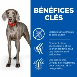 Hill's Science Plan No Grain Adult Large Breed Croquettes Sans Céréales Pour Chien Adulte De Grande Race Au Poulet - 14kg 9 Hill's Science Plan No Grain Adult Large Breed Croquettes Sans Céréales Pour Chien Adulte De Grande Race Au Poulet - 14kg -magasin d'aliments pour chiens 52742037233 4 science plan chien adult large no grain croquettes poulet