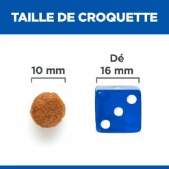 Hill's Science Plan No Grain Mature Croquettes Sans Céréales Pour Chien Âgé Au Poulet 10 Hill's Science Plan No Grain Mature Croquettes Sans Céréales Pour Chien Âgé Au Poulet -magasin d'aliments pour chiens 52742037271 5 science plan chien mature medium no grain croquettes poulet