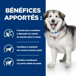 Hill's Prescription Diet C/d Multicare + Metabolic Croquettes Pour Chien 12Kg 10 Hill's Prescription Diet C/d Multicare + Metabolic Croquettes Pour Chien 12Kg -magasin d'aliments pour chiens 52742037394 3 FR