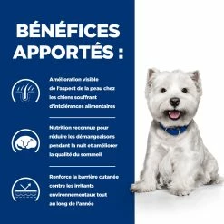 Hill's Prescription Diet Derm Complete Mini Croquettes Pour Petit Chien - 1 Kg 10 Hill's Prescription Diet Derm Complete Mini Croquettes Pour Petit Chien - 1 Kg -magasin d'aliments pour chiens 52742038797 3 FR 1