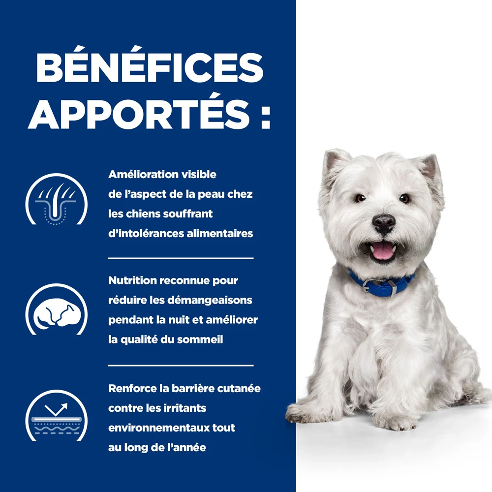 Hill's Prescription Diet Derm Complete Mini Croquettes Pour Petit Chien - 1 Kg 4 Hill's Prescription Diet Derm Complete Mini Croquettes Pour Petit Chien - 1 Kg – Image 4