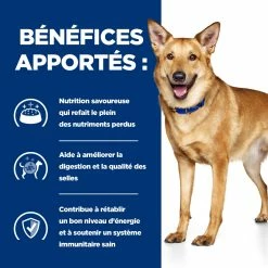 Hill's Prescription Diet I/d AB+ Boîtes Pour Chien - 12 X 354g -magasin d'aliments pour chiens 52742039855 3 FR