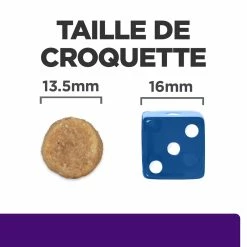 Hill's Presription Diet U/d Urinary Croquettes Pour Chien 10 Kg -magasin d'aliments pour chiens 52742041711 4 FR 1
