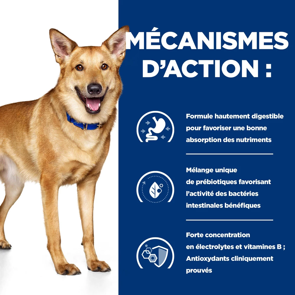 Hill's Prescription Diet I/D Digestive Croquettes Pour Chien Et Chiot Au Poulet 1,5 Kg 3 Hill's Prescription Diet I/D Digestive Croquettes Pour Chien Et Chiot Au Poulet 1,5 Kg – Image 3