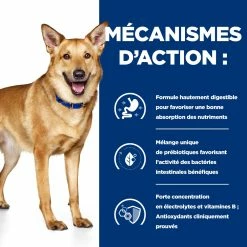 Hill's Prescription Diet I/D AB+ Pour Chien Au Poulet - 12Kg -magasin d'aliments pour chiens 52742043166 2 FR