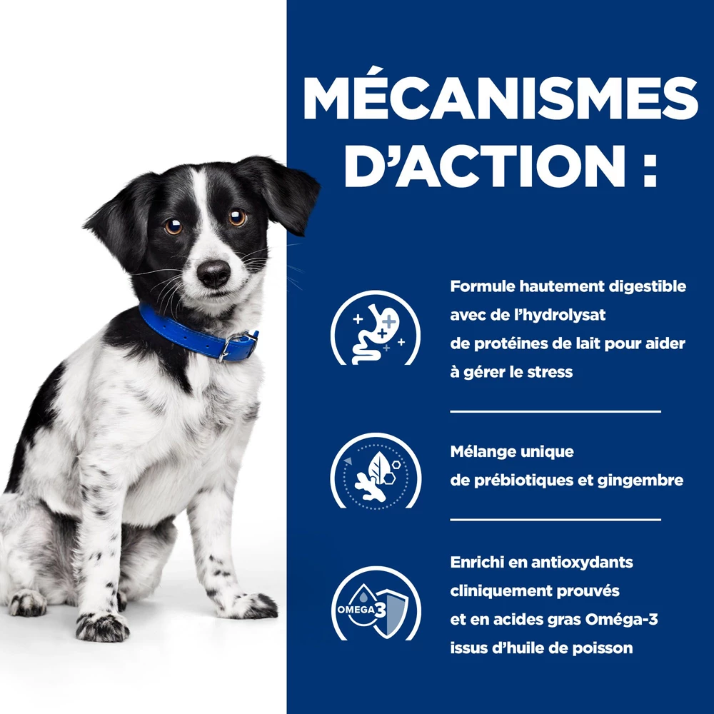 Hill's Prescription Diet I/d Stress Digestive Mini Croquettes Pour Petit Chien Au Poulet 6Kg 3 Hill's Prescription Diet I/d Stress Digestive Mini Croquettes Pour Petit Chien Au Poulet 6Kg – Image 3