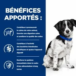 Hill's Prescription Diet I/d Stress Digestive Mini Croquettes Pour Petit Chien Au Poulet 1 Kg 10 Hill's Prescription Diet I/d Stress Digestive Mini Croquettes Pour Petit Chien Au Poulet 1 Kg -magasin d'aliments pour chiens 52742045009 3 FR 1