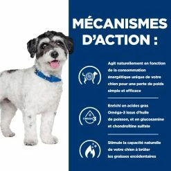 Hill's Prescription Diet J/D Metabolic + Mobility Mini Croquettes Pour Petit Chien Au Poulet - 6Kg -magasin d'aliments pour chiens 52742045269 2 FR 1