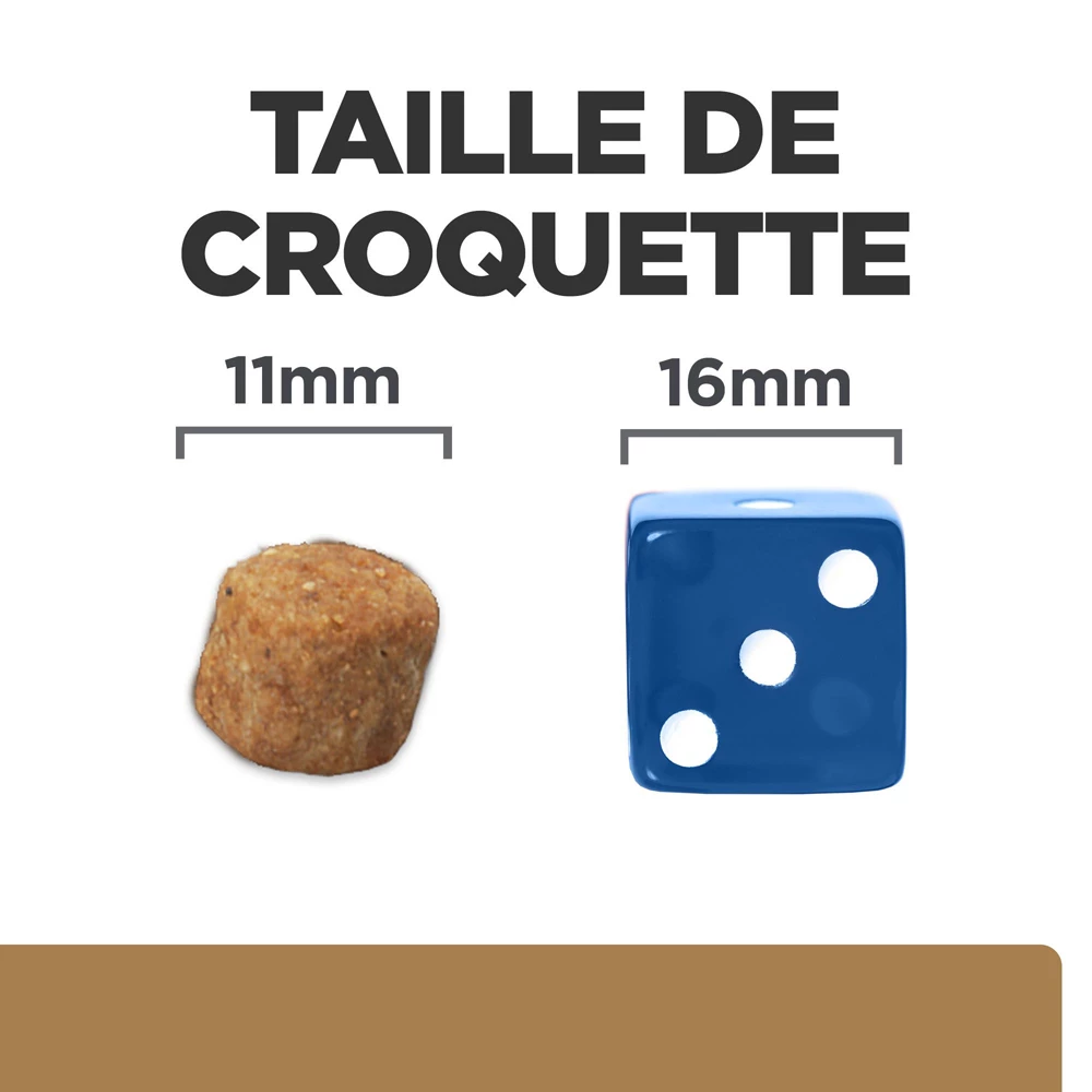 Hill's Prescription Diet J/D Mobility Croquettes Pour Chien Au Poulet - 12Kg 5 Hill's Prescription Diet J/D Mobility Croquettes Pour Chien Au Poulet - 12Kg – Image 5