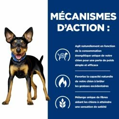 Hill's Prescription Diet Metabolic Croquettes Pour Petit Chien Au Poulet 6kg 9 Hill's Prescription Diet Metabolic Croquettes Pour Petit Chien Au Poulet 6kg -magasin d'aliments pour chiens 52742047188 2 FR 1