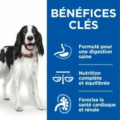 Hill's Science Plan Healthy Cuisine Mijoté Pour Chien Adulte Au Poulet Et Légumes Ajoutés -magasin d'aliments pour chiens 52742050393 10 FR science plan chien adult healthy cuisine mijotes sachet repas poulet boeuf 12x90g