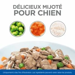 Hill's Science Plan Healthy Cuisine Mijoté Pour Chien Adulte Au Poulet Et Légumes Ajoutés -magasin d'aliments pour chiens 52742050393 8 FR science plan chien adult healthy cuisine mijotes sachet repas poulet boeuf 12x90g