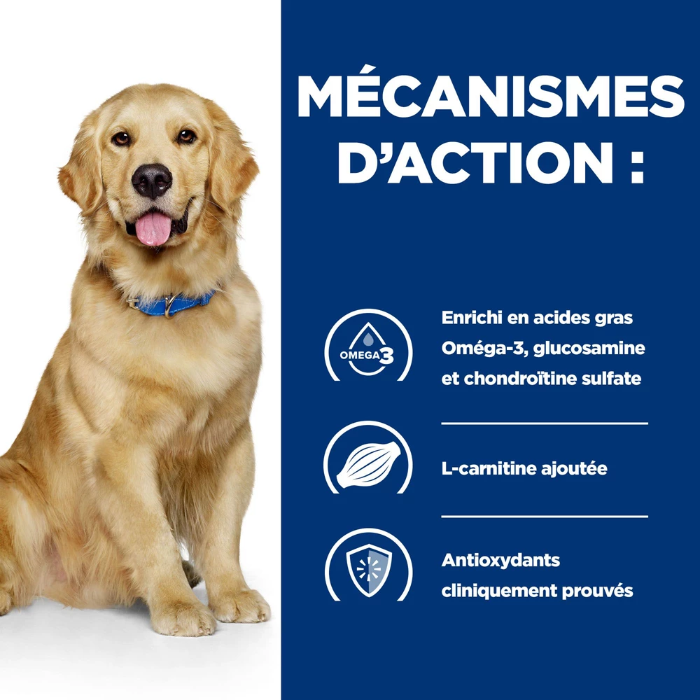 Hill's Prescription Diet J/D Nourriture Pour Chien à L'agneau 12x370g 3 Hill's Prescription Diet J/D Nourriture Pour Chien à L'agneau 12x370g – Image 3