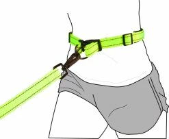 Flamingo Laisse Pour Le Jogging + Ceinture Ventrale Diran L Laisse 103cm / Ceinture 100-130cm -magasin d'aliments pour chiens 542e3840bee3f3aa286cbd639dec6d792294cb2e8b4c58b1e32a416e909270a9
