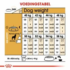 Royal Canin Rottweiler Adult Pour Chien 12kg -magasin d'aliments pour chiens 56fd1f168adf1bd610b5cf2faae8c7cf02b77566f248cfd9f066d7b97bf4893e 1