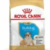 Royal Canin Buldog Anglais Chiot 12kg
