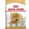 Royal Canin Golden Retriever Adult Pour Chien 3kg