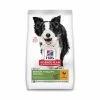 Hill's Science Plan Aliment Pour Chien Mature De Race Moyenne Senior Vitality 2.5 Kg
