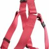 Flamingo Harnais Step&go Ziggi Rouge Cerise 40-70cm 25mm