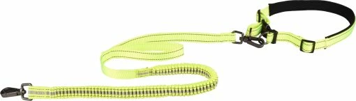Flamingo Laisse Pour Le Jogging + Ceinture Ventrale Diran M Laisse 103cm / Ceinture 76-100cm -magasin d'aliments pour chiens 849ed75d123da3f3d65c7b723cabad1d649391d0cf7567252ec8b01d31528e3b