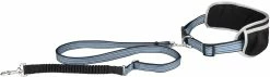 Flamingo Laisse Pour Le Jogging + Ceinture Ventrale Rono Bleu Laisse 180-250cm / Ceinture 79,5-140cm