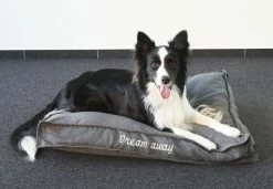 Flamingo Coussin Dream Away Rectangulaire+rebord+fermeture Eclair Gris 80x60x10cm 9 Flamingo Coussin Dream Away Rectangulaire+rebord+fermeture Eclair Gris 80x60x10cm -magasin d'aliments pour chiens 8b20af957cd0e9159fdaec088098026b839b1c665fc0ece7ca837051d3f8cebf