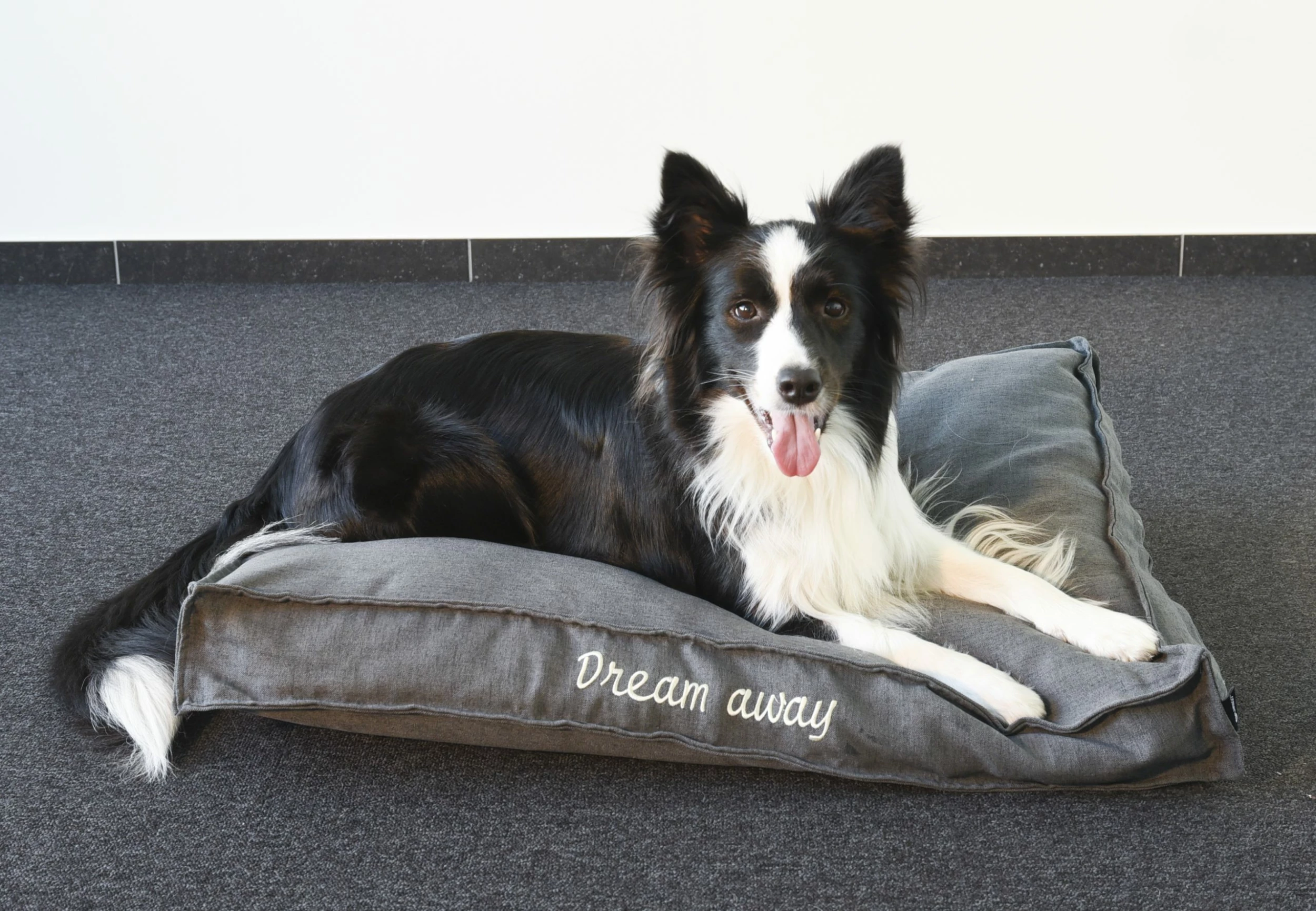 Flamingo Coussin Dream Away Rectangulaire+rebord+fermeture Eclair Gris 80x60x10cm 5 Flamingo Coussin Dream Away Rectangulaire+rebord+fermeture Eclair Gris 80x60x10cm – Image 5