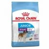 Royal Canin Giant Junior Pour Chien 15kg