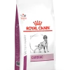 Royal Canin Cardiac Pour Chien 14kg