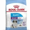 Royal Canin Giant Puppy Pour Chien 3,5kg