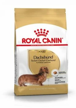 Royal Canin Teckel Adult Pour Chien 1,5kg