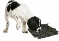 Flamingo Tapis à Renifler Amigo Rectangulaire + Fermeture Eclair Gris/vert 40x50cm -magasin d'aliments pour chiens a775a03a816b5a96e49c58cd3ecbc26540a84574cd16c3ba95abf6994148d0f2