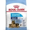 Royal Canin Maxi Starter Mother & Babydog 4kg