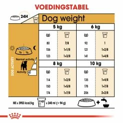 Royal Canin Jack Russell Adult Pour Chien 7,5kg 6 Royal Canin Jack Russell Adult Pour Chien 7,5kg -magasin d'aliments pour chiens ad90d20e8be659a05b8d6ea3d9c84a4959dbd6443649feb4970eb79fc6868336