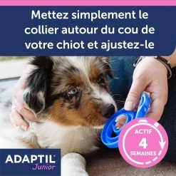 Adaptil Junior Collier (46,5cm) -magasin d'aliments pour chiens adaptil collier junior 3 FR