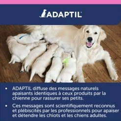 Adaptil Junior Collier (46,5cm) -magasin d'aliments pour chiens adaptil collier junior 6 FR