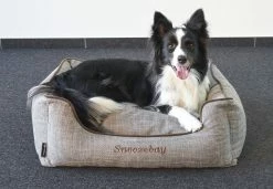 Flamingo Panier Snoozebay Rectangulaire Brun 70x60x22cm 7 Flamingo Panier Snoozebay Rectangulaire Brun 70x60x22cm -magasin d'aliments pour chiens b09773f36fa6a771aefd4c945667880bf44da052370e01efc25c0ccae2c7e558